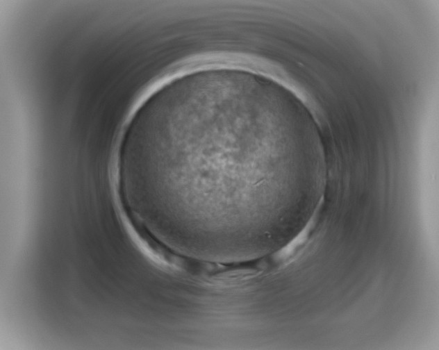 X0000116011523200911251110