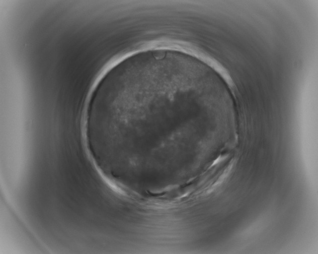 X0000116011525200911251110