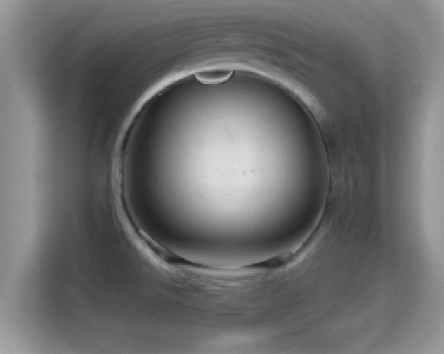 X0000116011526200911251110
