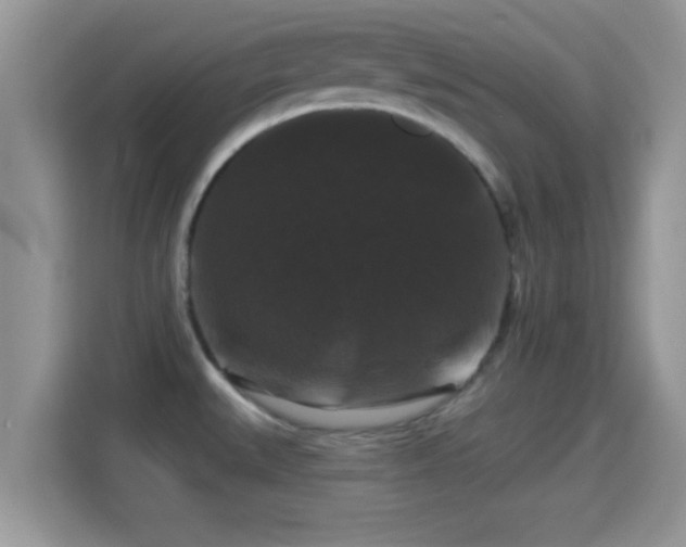 X0000116011527200911251110