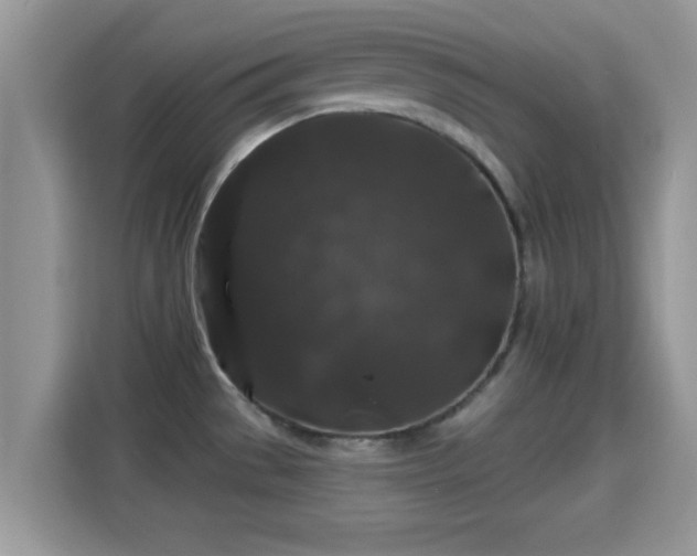 X0000116011529200911251110