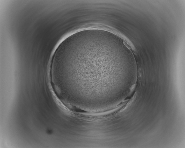 X0000116011530200911251110