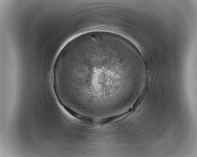 X0000116011531200911251110