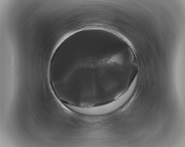 X0000116011533200911251110