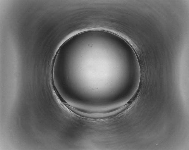 X0000116011534200911251110