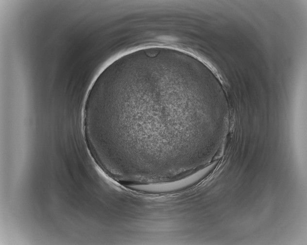 X0000116011535200911251110