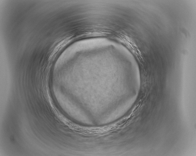 X0000116010001200912031539