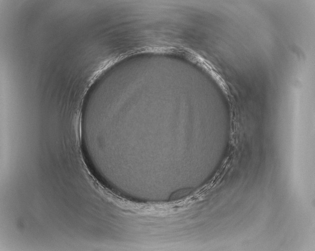 X0000116010011200912031539