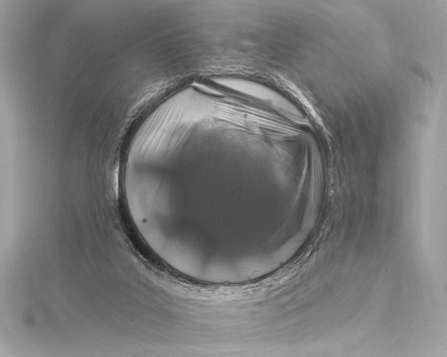 X0000116010019200912031539