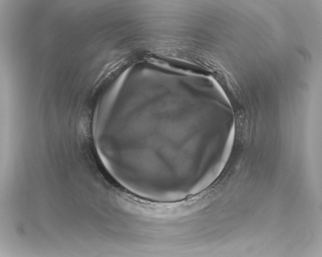 X0000116010035200912031538