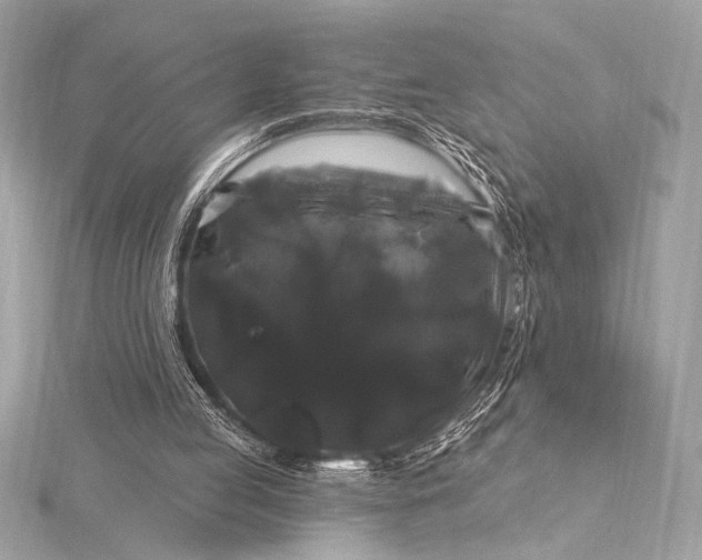 X0000116010053200912031538