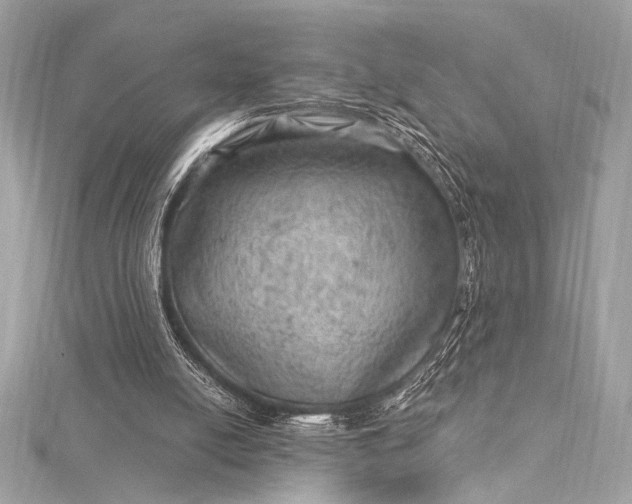 X0000116010054200912031538