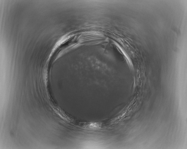 X0000116010056200912031538