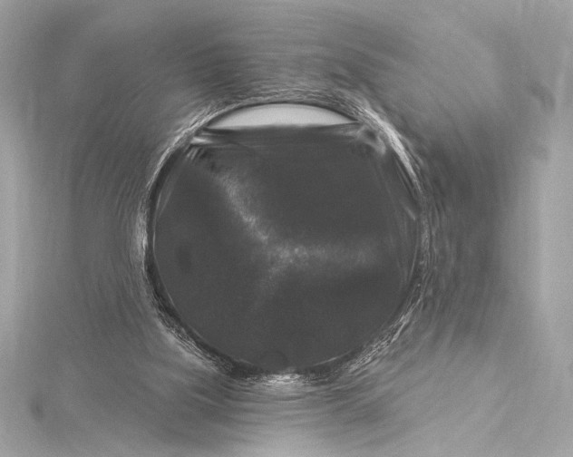 X0000116010059200912031538