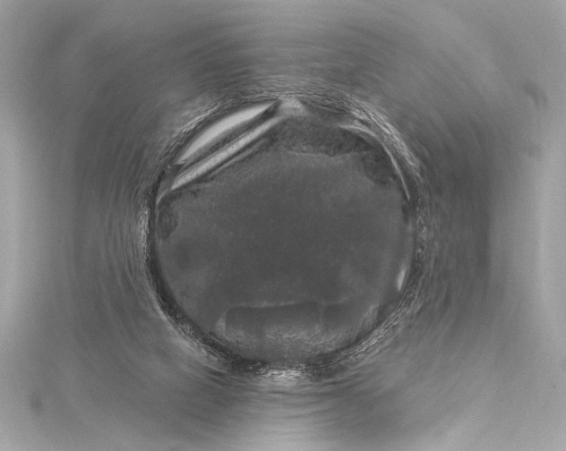 X0000116010066200912031538