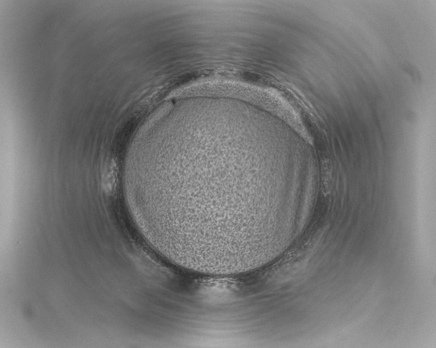 X0000116010077200912031538
