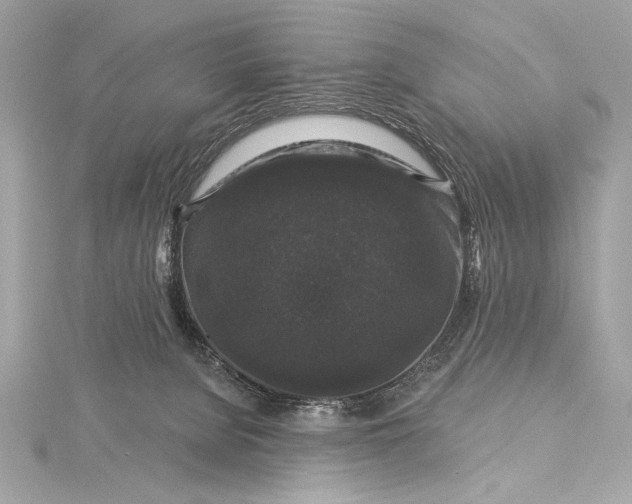 X0000116010080200912031538