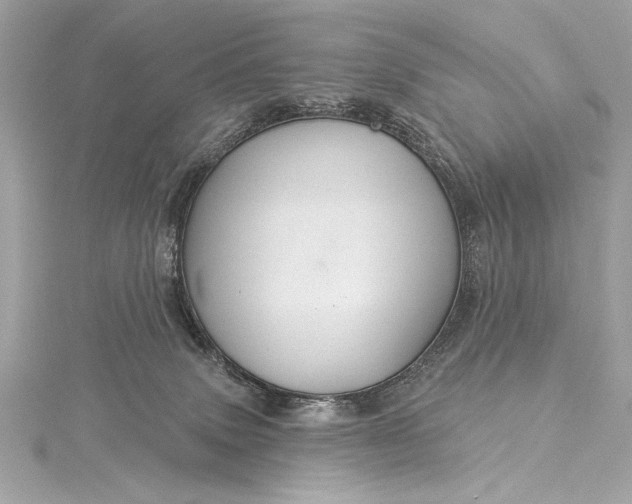 X0000116010083200912031538