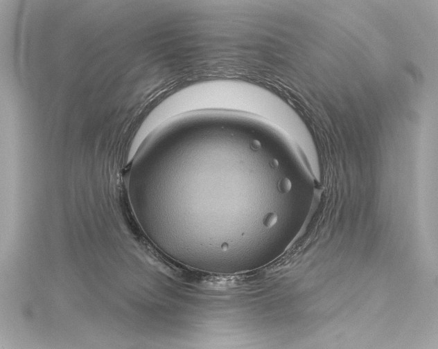 X0000116010084200912031538
