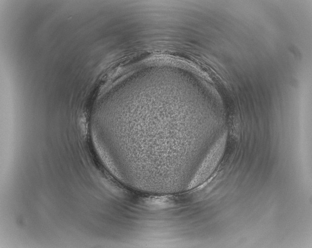 X0000116010086200912031538