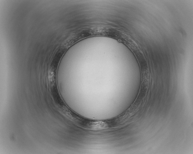 X0000116010087200912031538