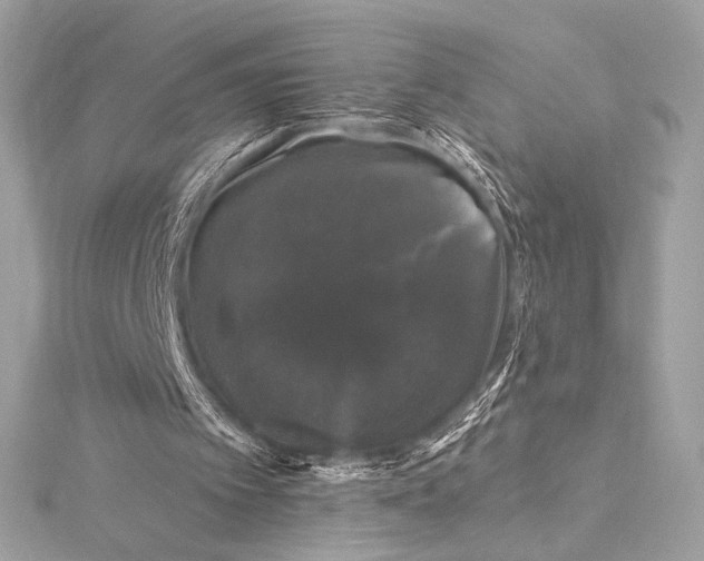 X0000116010097200912031538