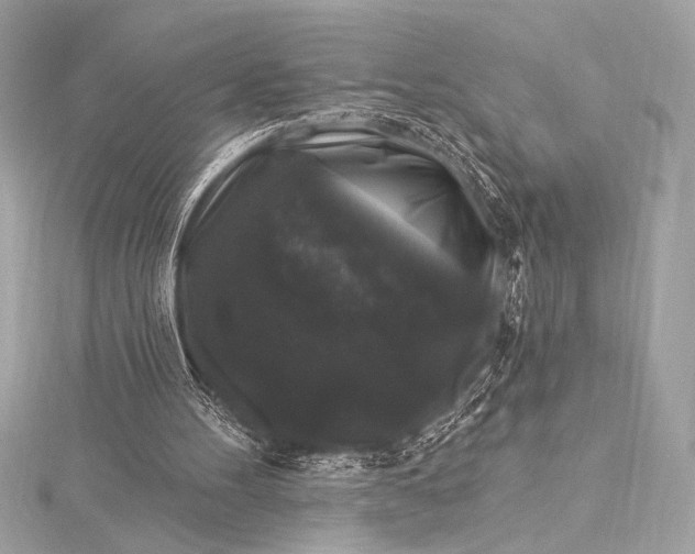 X0000116010100200912031538