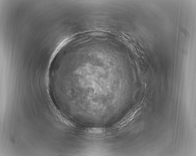 X0000116010102200912031538