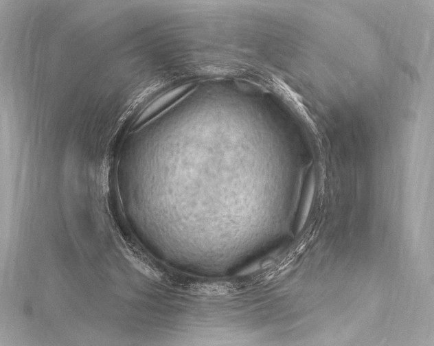 X0000116010106200912031538