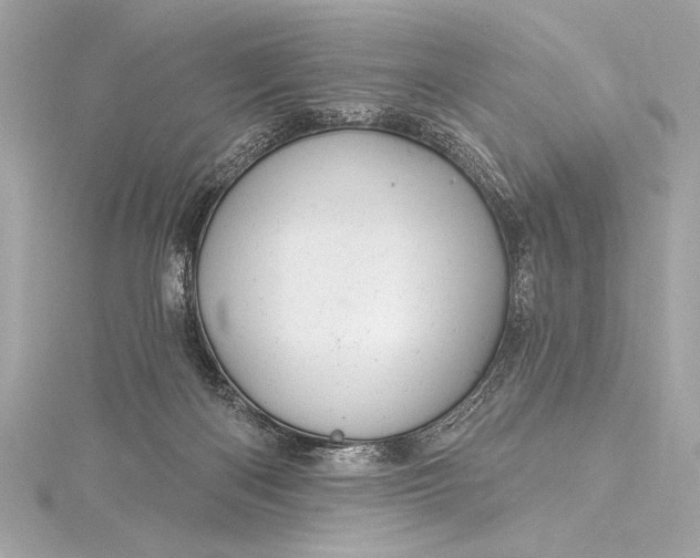 X0000116010122200912031537