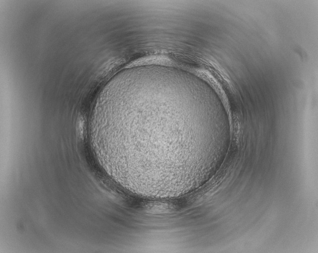 X0000116010123200912031537
