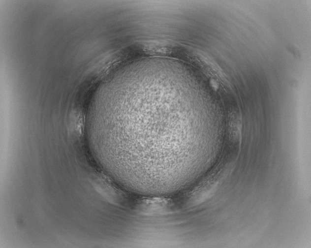 X0000116010125200912031537
