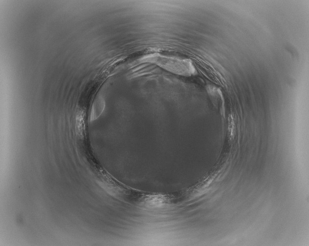 X0000116010127200912031537
