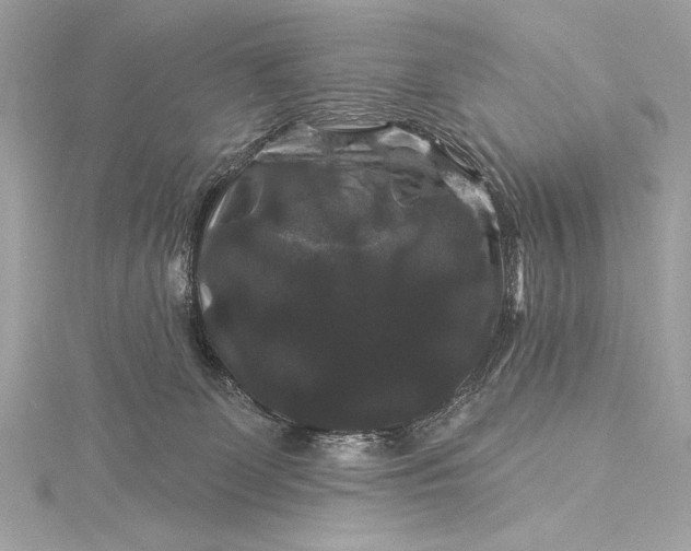 X0000116010131200912031537