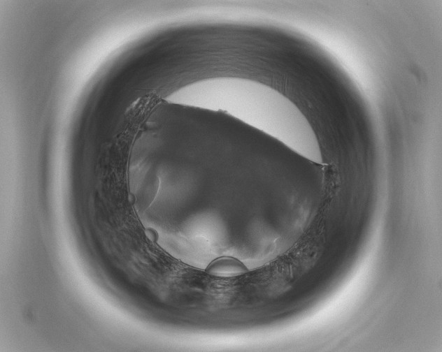 X0000116010143200912031537