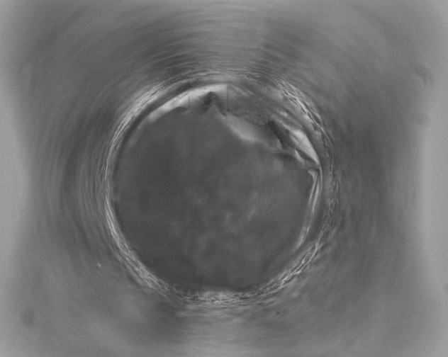 X0000116010145200912031536