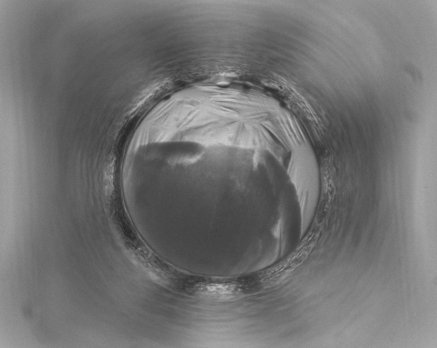 X0000116010163200912031537