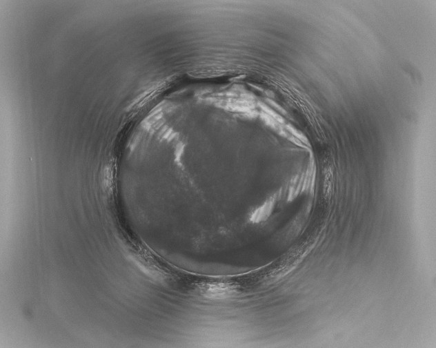 X0000116010165200912031537