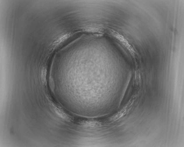 X0000116010201200912031536