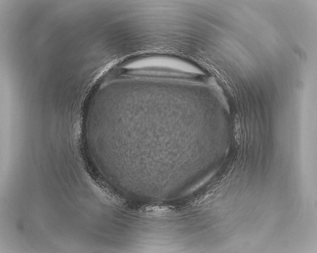 X0000116010208200912031536