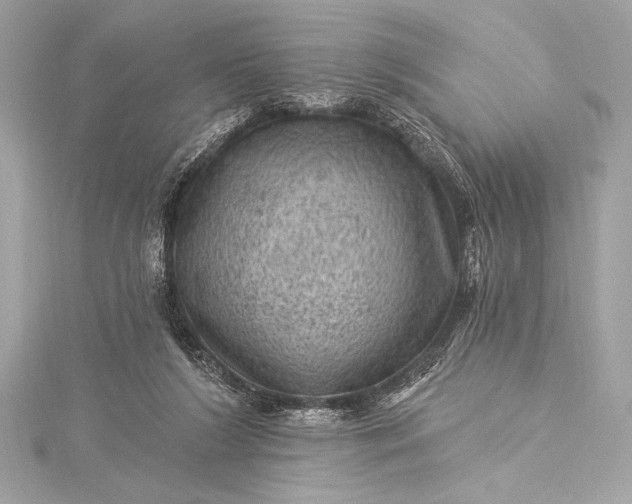 X0000116010212200912031536