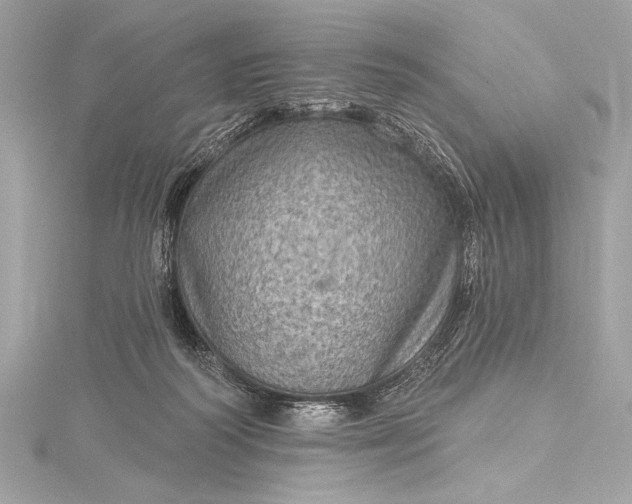 X0000116010218200912031536