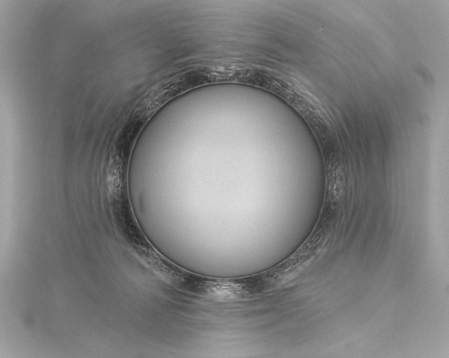 X0000116010226200912031536