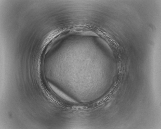 X0000116010242200912031535