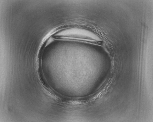 X0000116010246200912031535