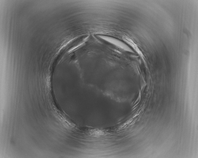 X0000116010249200912031535