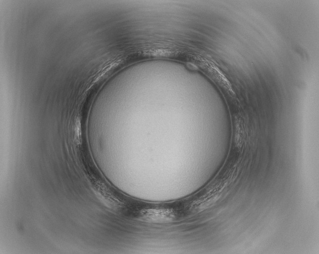 X0000116010251200912031535