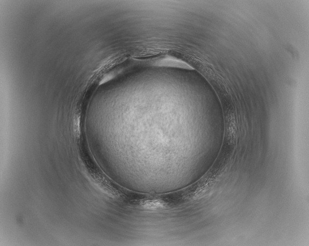 X0000116010262200912031535