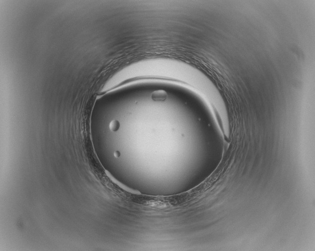 X0000116010272200912031536