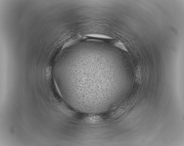 X0000116010278200912031536